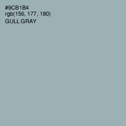 #9CB1B4 - Gull Gray Color Image